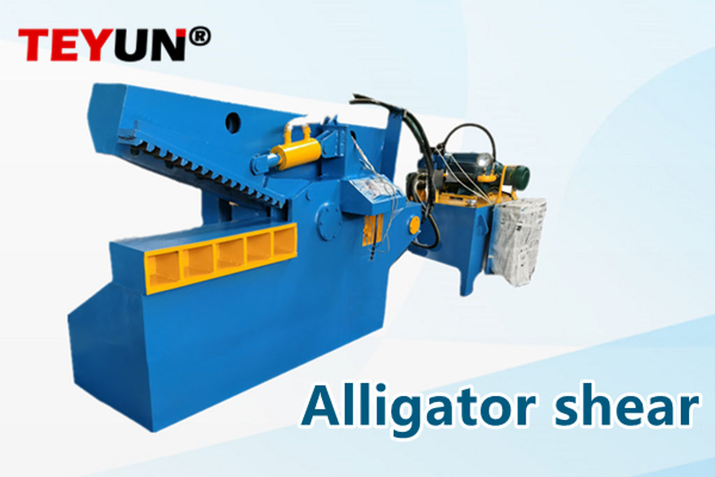 How to maintain an alligator shear？